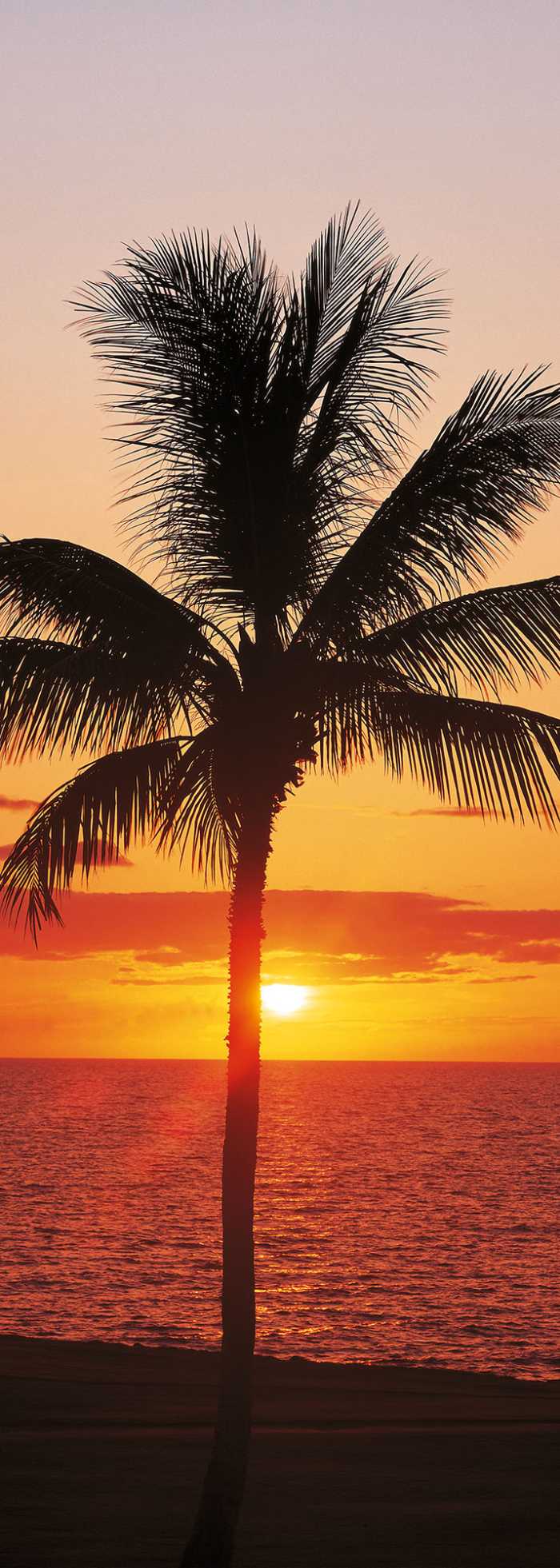 Panneau sur intissé  Hawaii