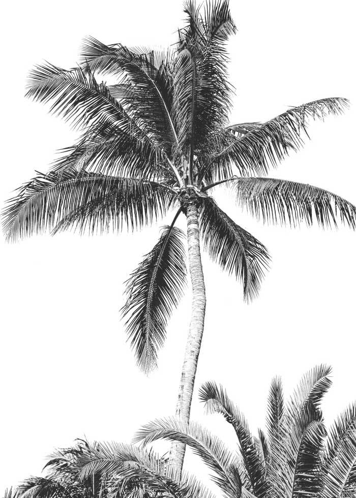 Photo murale intissé impression numérique Retro Palm