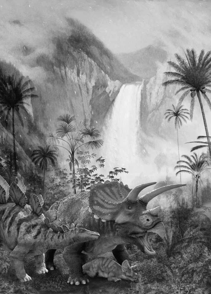 Photo murale intissé impression numérique Jurassic Waterfall