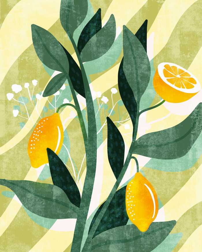 Photo murale intissé impression numérique Lemon Fresh