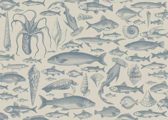 Intissé Standard Sea Study