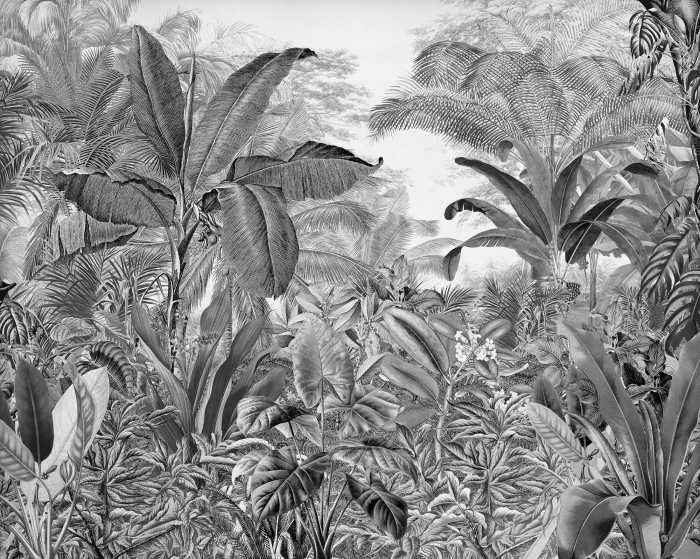 Photo murale intissé impression numérique Roraima