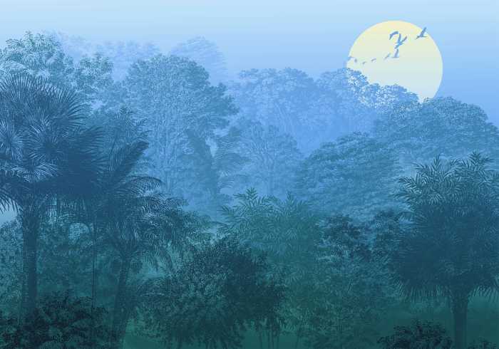 Photo murale intissé impression numérique Deep in the Jungle