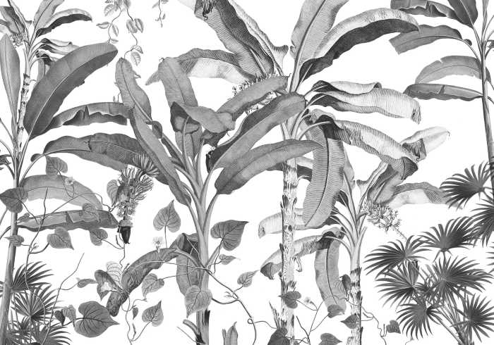 Photo murale intissé impression numérique Croissances Monochrome