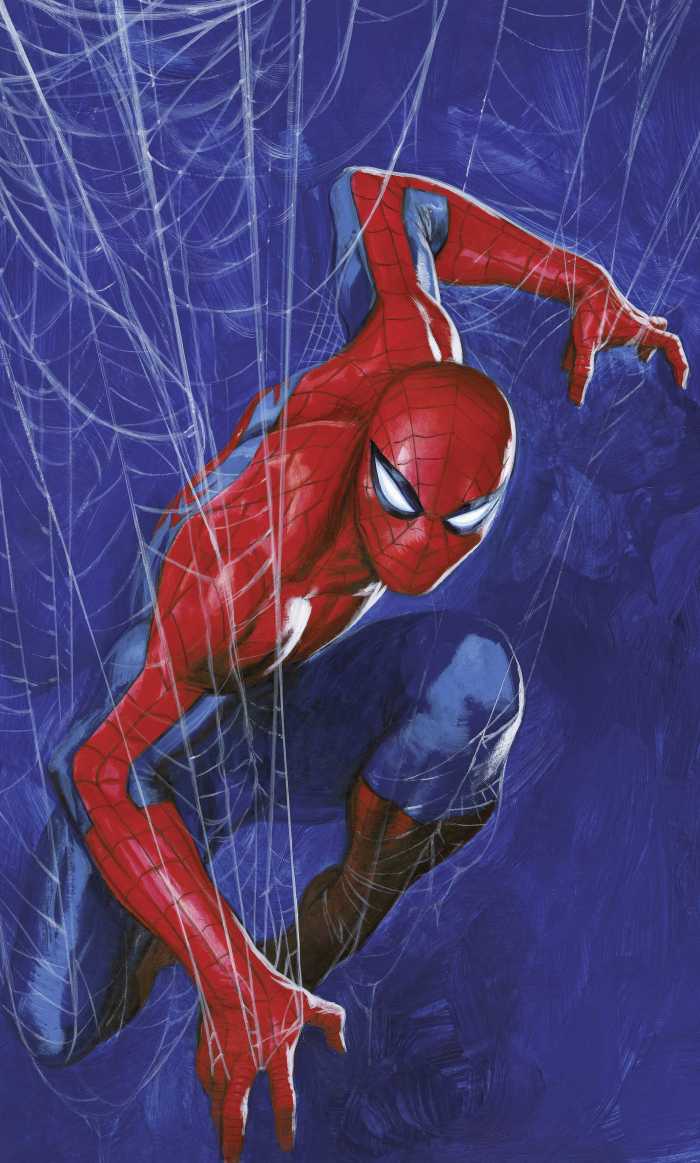 Photo murale intissé impression numérique Marvel Spider-Man Spider Web