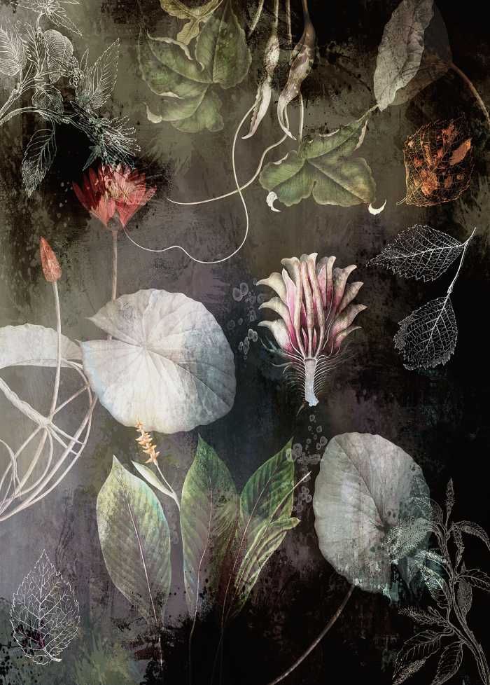 Photo murale intissé impression numérique Night Flowers