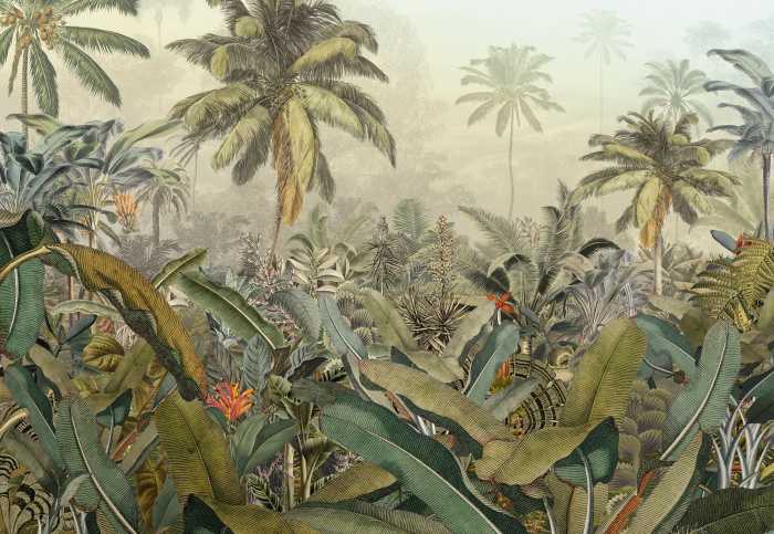 Photo murale intissé Amazonia
