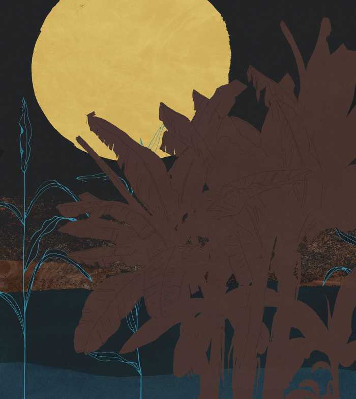 Photo murale intissé impression numérique Supermoon