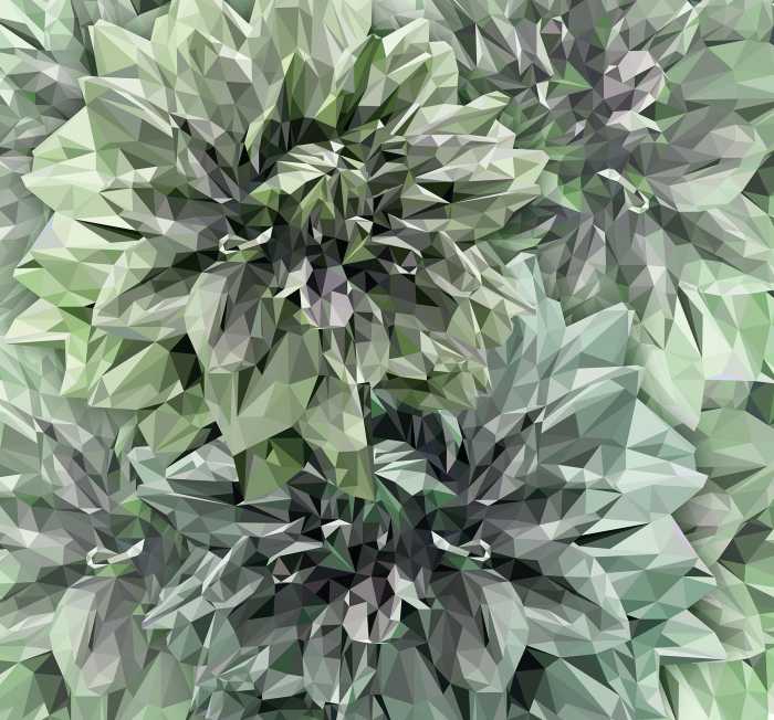 Photo murale intissé impression numérique Emerald Flowers