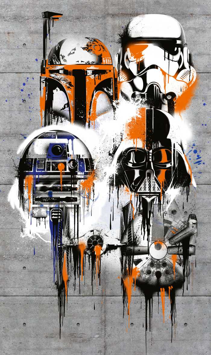Panneau sur intissé  Star Wars Celebrate The Galaxy