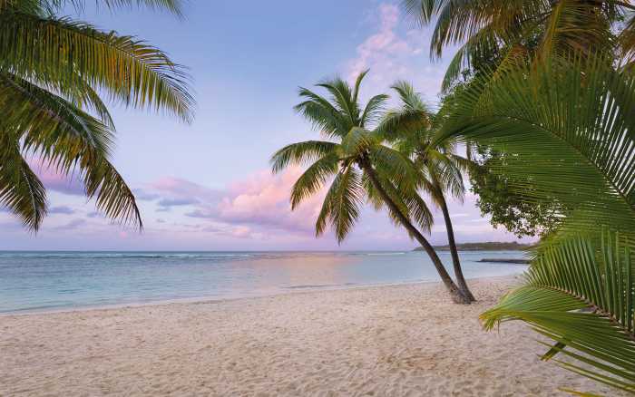 Photo murale intissé impression numérique Paradise Morning