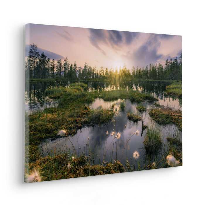 Tableau intissé Gloomy Swamps