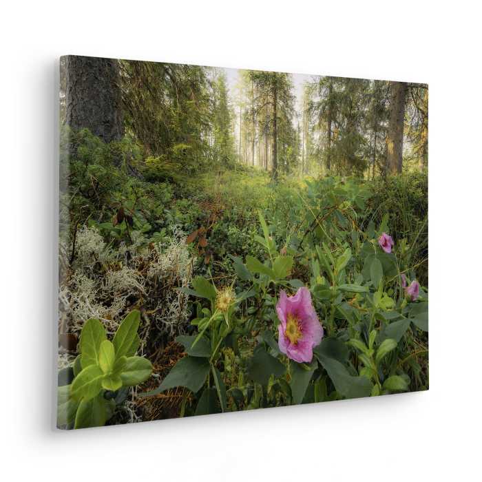 Tableau intissé Charming Woods