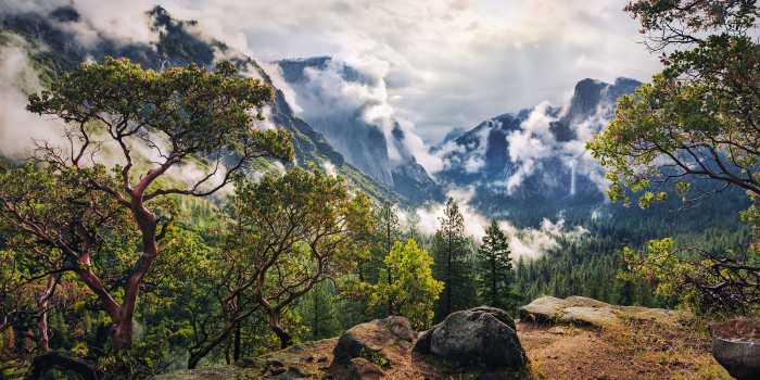 Panneau sur intissé  Unique Paradise