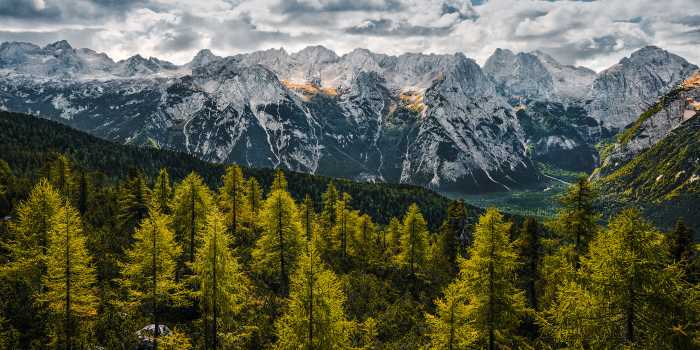 Panneau sur intissé  Wild Dolomites