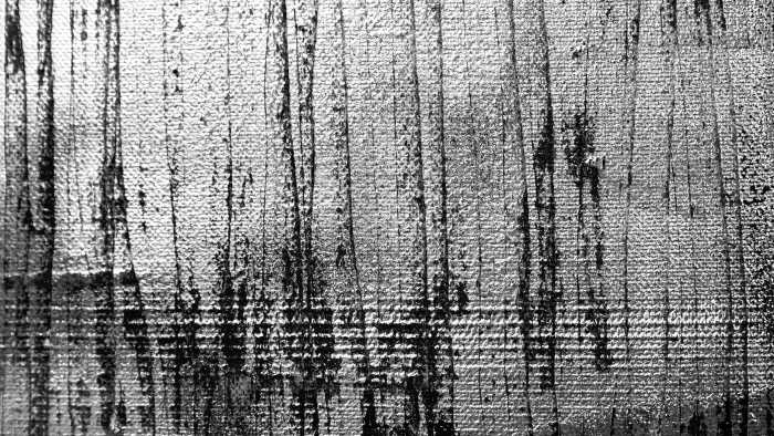 Photo murale intissé impression numérique Gaze Dancing grey-black
