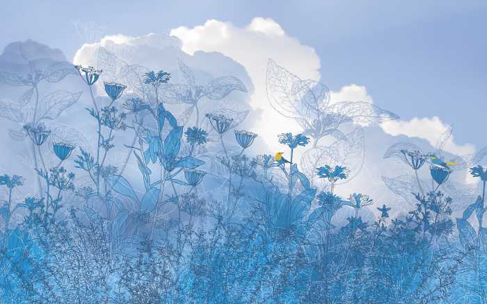 Photo murale intissé impression numérique Blue Sky II