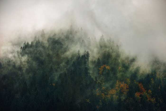 Photo murale intissé impression numérique Tales of the Carpathians