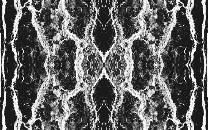 Photo murale intissé impression numérique Oak Bark black-white