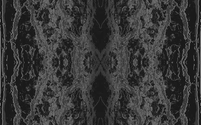 Photo murale intissé impression numérique Oak Bark black-whitedarkgrey