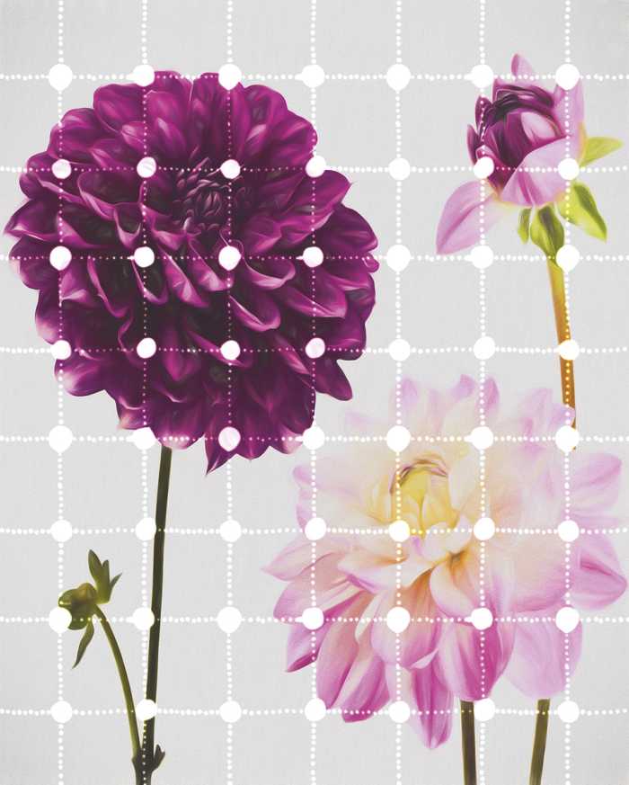 Photo murale intissé impression numérique Flowers & Dots
