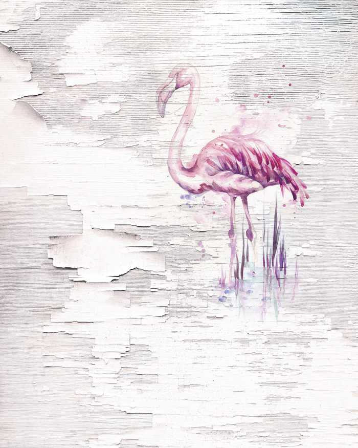 Photo murale intissé impression numérique Pink Flamingo