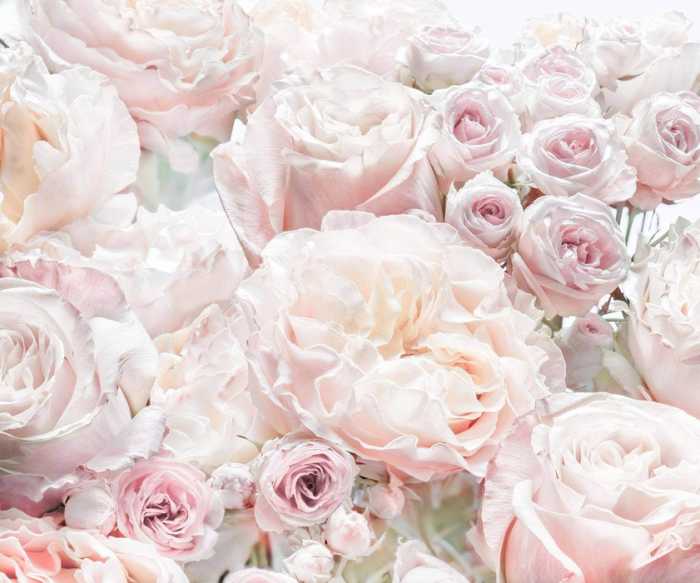 Intissé Standard Parfum de Rose