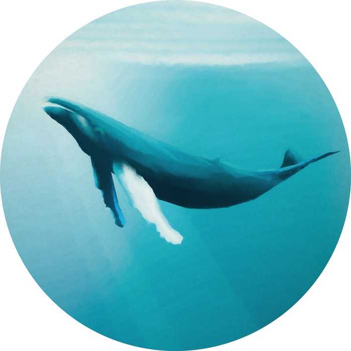 Murale ronde auto-adhésive intissée Whale Watching