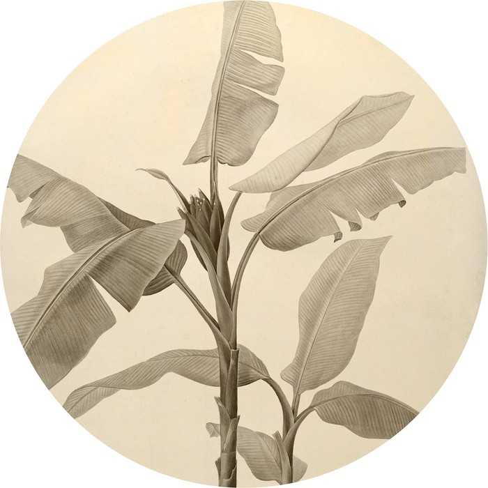 Murale ronde auto-adhésive intissée Banana Plant