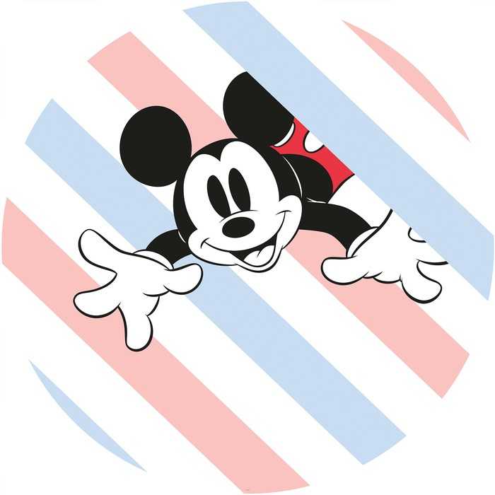 Murale ronde auto-adhésive intissée DOT Mickey Hang in There