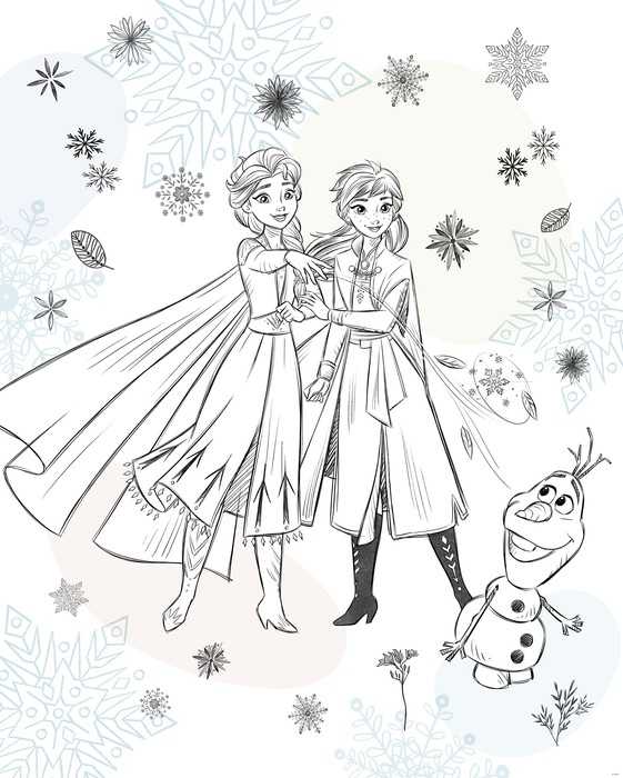 Intissé Standard Disney Frozen Sketch Sisters