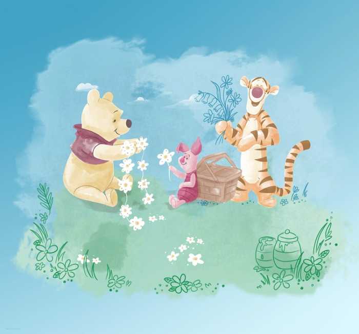 Intissé Standard Winnie the Pooh Picnic