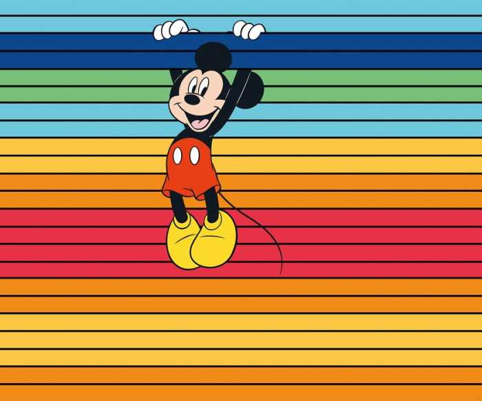 Intissé Standard Mickey Magic Rainbow