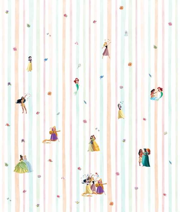 Vinyle Disney Princesses Charmix
