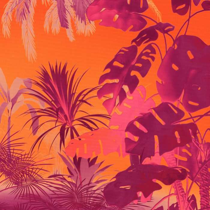 Intissé Standard Funky Jungle