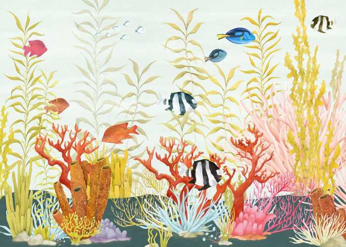 Intissé Standard Coral World