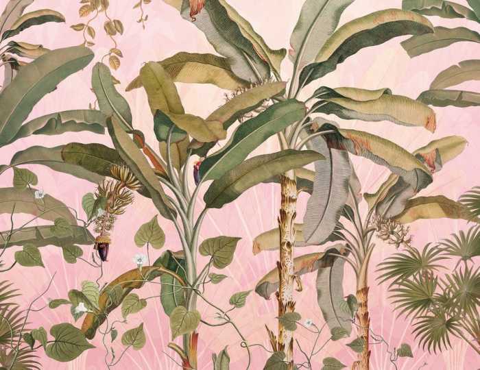 Intissé Standard Plantation