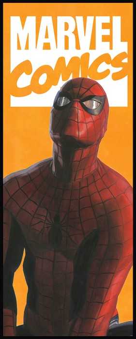 Intissé Standard Spider-Man Comic