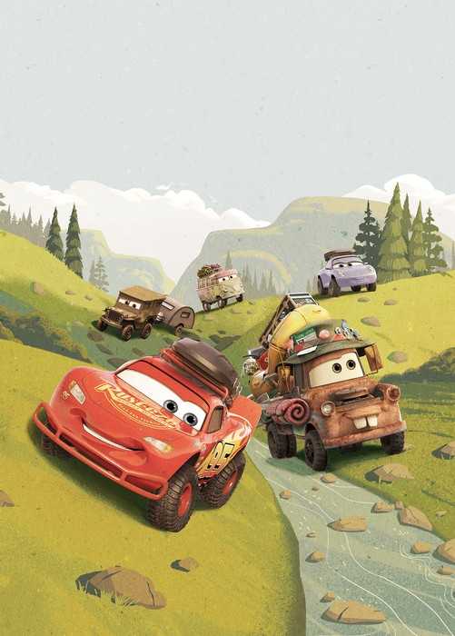 Intissé Standard Cars Camping