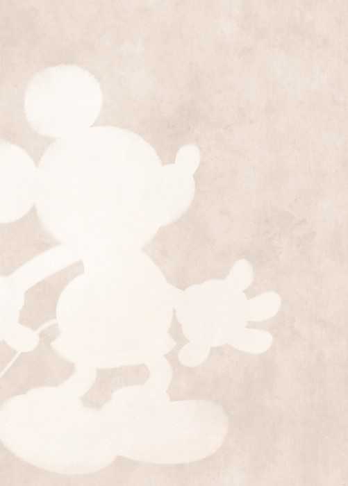 Intissé Standard Mickey Contour