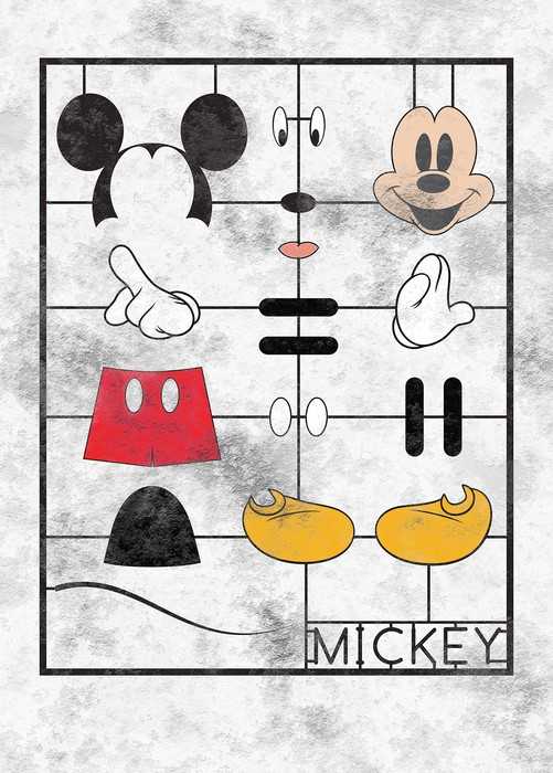 Intissé Standard Mickey Kit