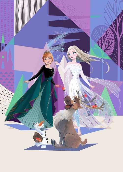 Intissé Standard Frozen Abstract Arendelle