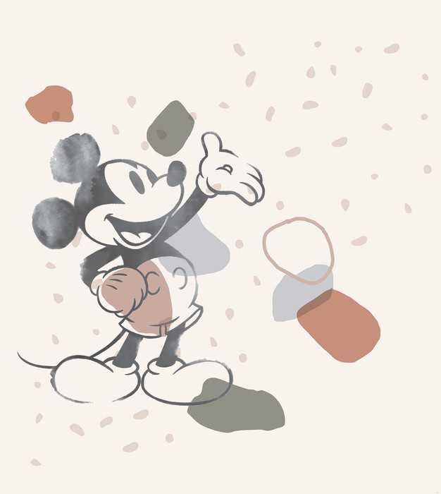 Intissé Standard Mickey Organic Shapes