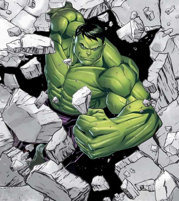 Intissé Standard Hulk Breaker