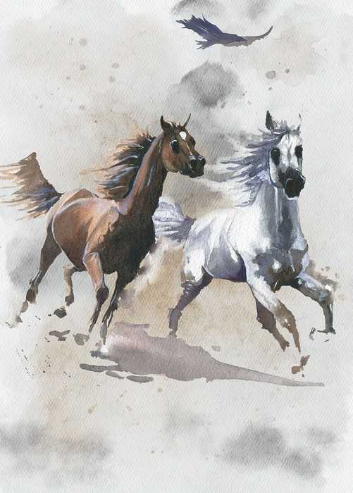 Intissé Standard Wild Ride