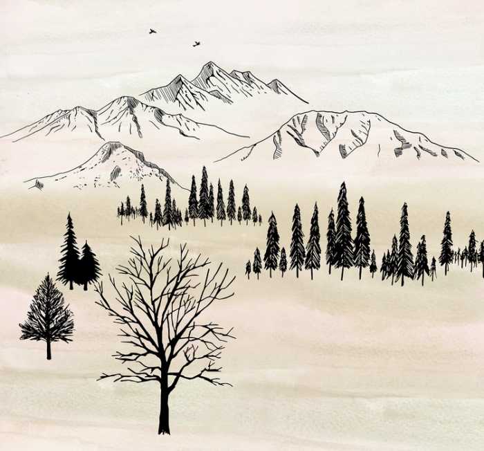 Intissé Standard Backcountry