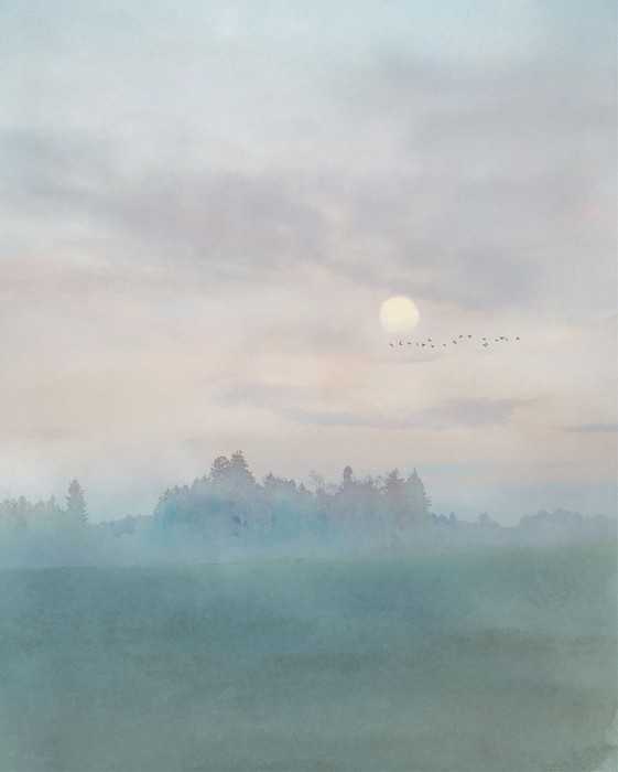 Intissé Premium Hazy Hush