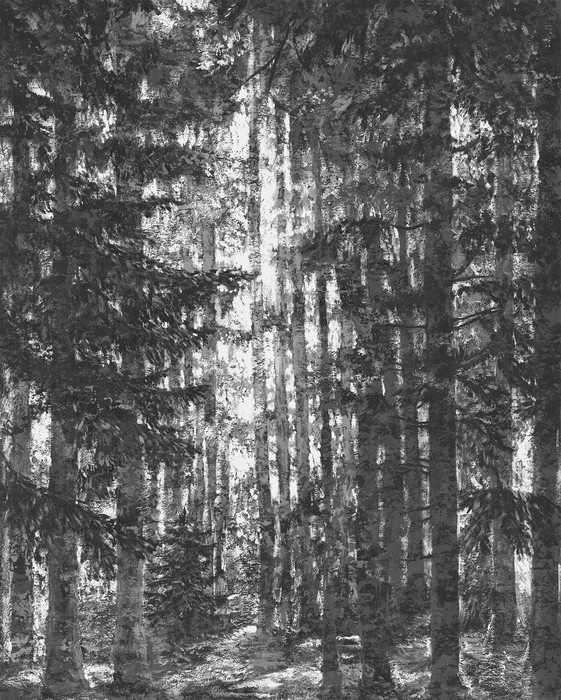 Intissé Premium Lustres Lapland