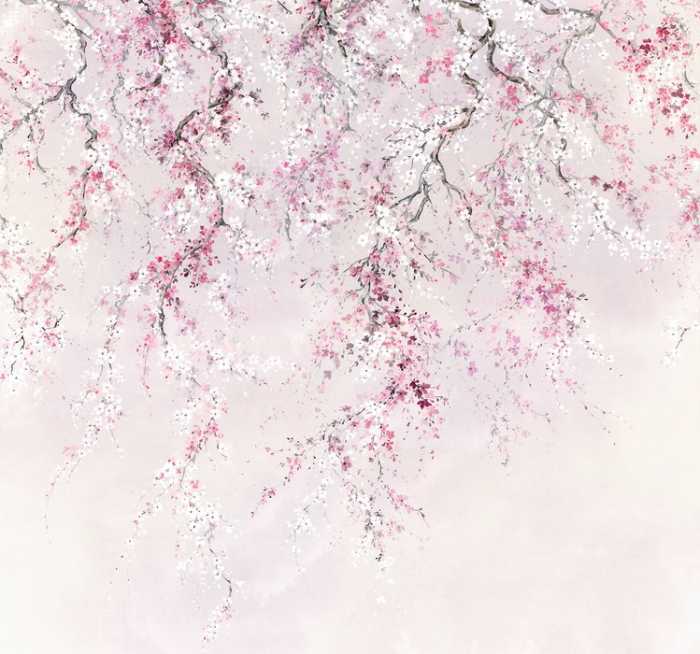 Intissé Standard Kirschblüten