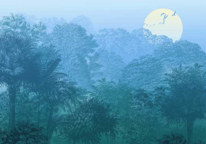 Intissé Standard Deep in the Jungle